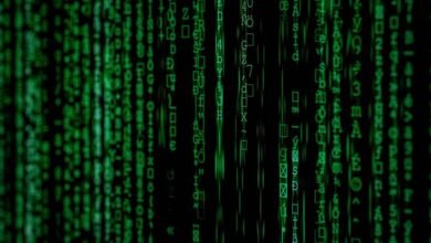 analyzing large numerical value