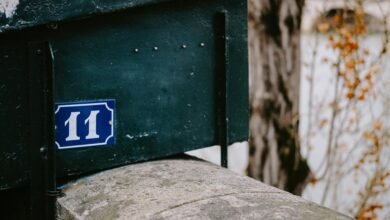 contact number insights available