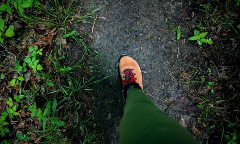 financial journey management strategies