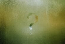 mystery of phone number