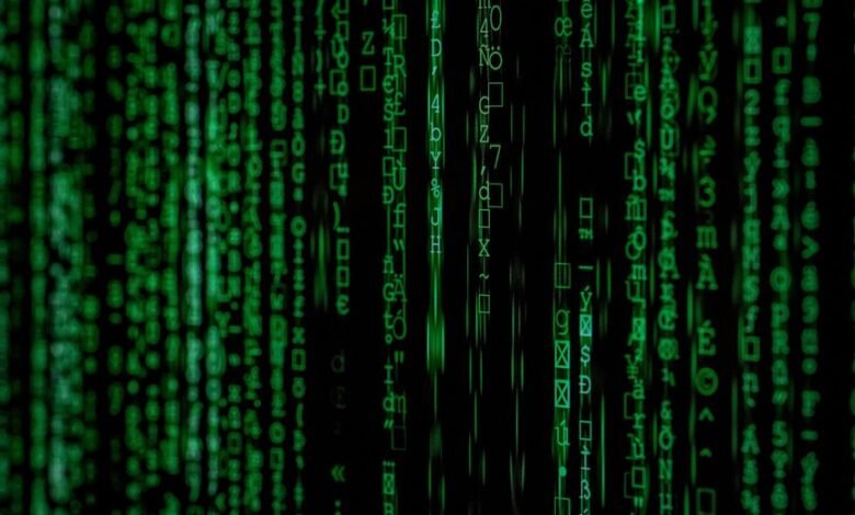 phone number format breakdown
