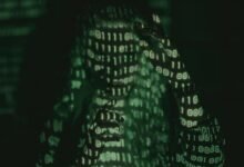 phone number or identifier