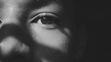 updates and insights shared