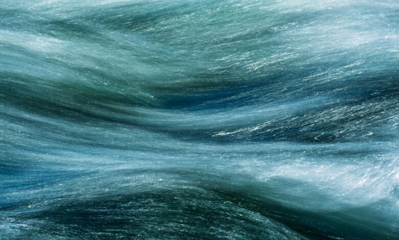 cam5net streaming services overview