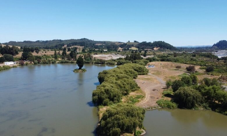 cinemaindo movie portal overview