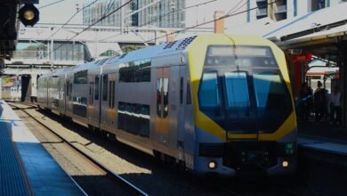 cookape organization service overview