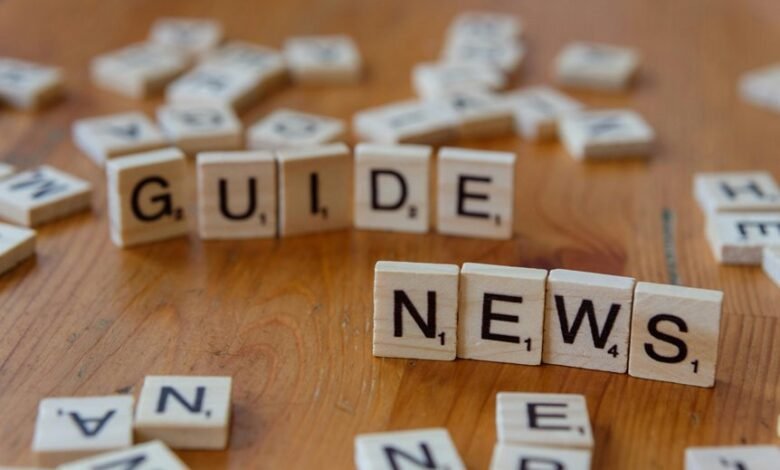 delfi news portal overview