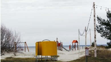 lithuanian news portal delfi