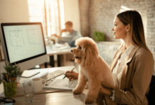 Online Pet Marketplaces in Practice