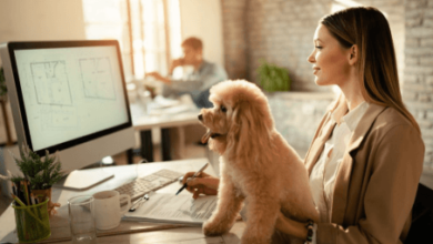 Online Pet Marketplaces in Practice