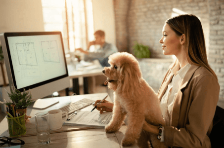 Online Pet Marketplaces in Practice